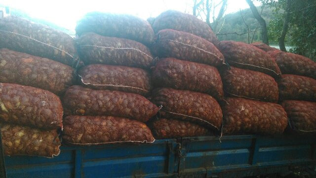 Biodiversity Destruction