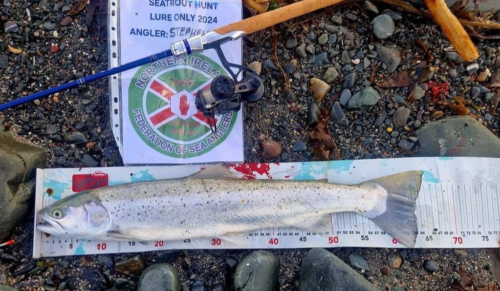 31st Oct saw the conclusion of our sea trout hunt