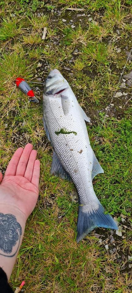 Excellent fishing from federation members down around the Youghal area