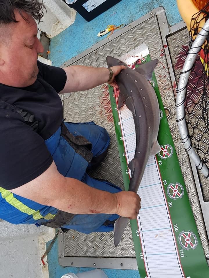 Federation member Al Marsden writes a nice account of a session on board Portrush Skipper