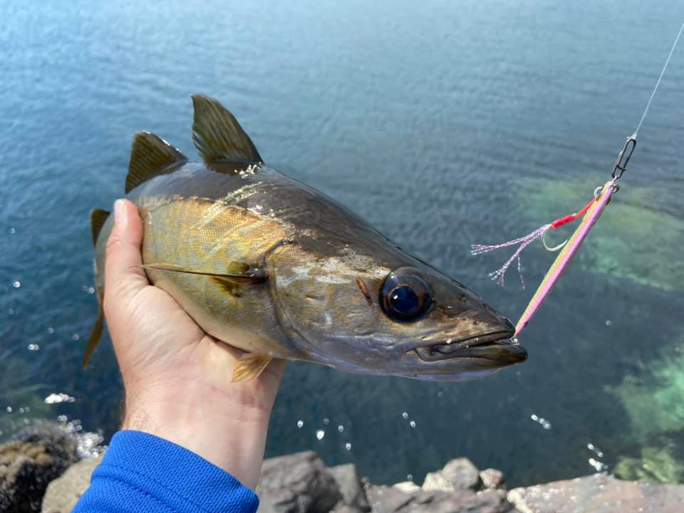 Federation member Drew Mcminn tell a wee fable of a day in Donegal on Sunday