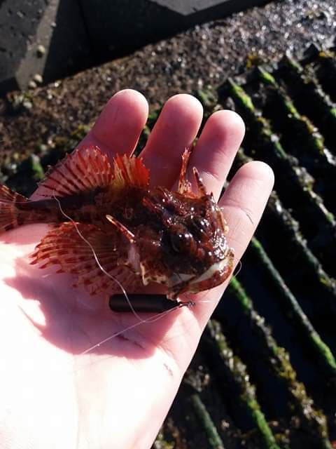 Federation members stories: Colum Braniff