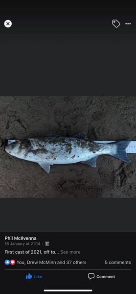 Fish of the Month - Phil McIlvenna with his 54cm Bass