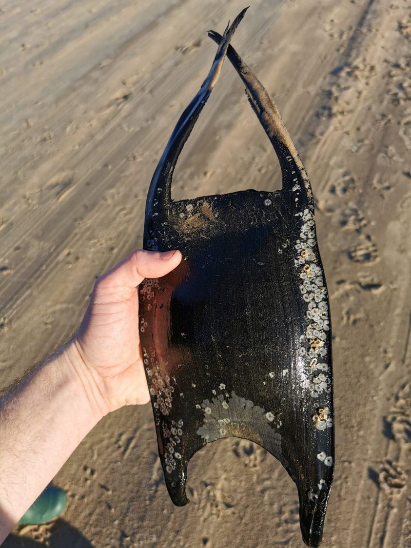 Found today, 1 of 2 purses picked up by NIFSA anglers on Benone beach