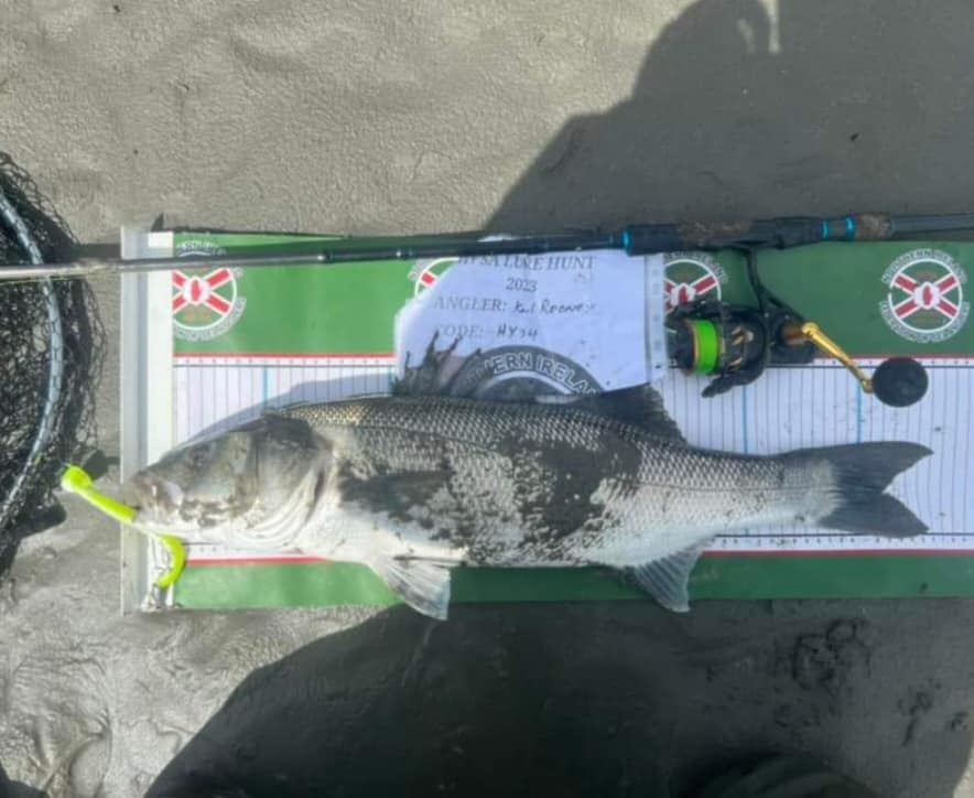 Lure angling is growing in popularity with lrf (light rock fishing) and hrf (hard rock fishing)