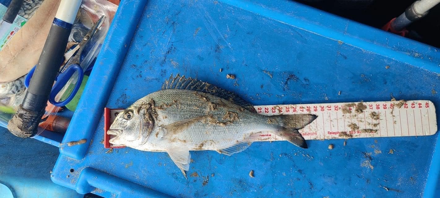 March Fish of the Month