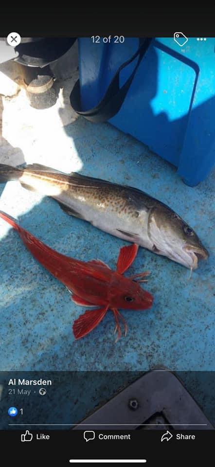 May 2021 Fish of the Month