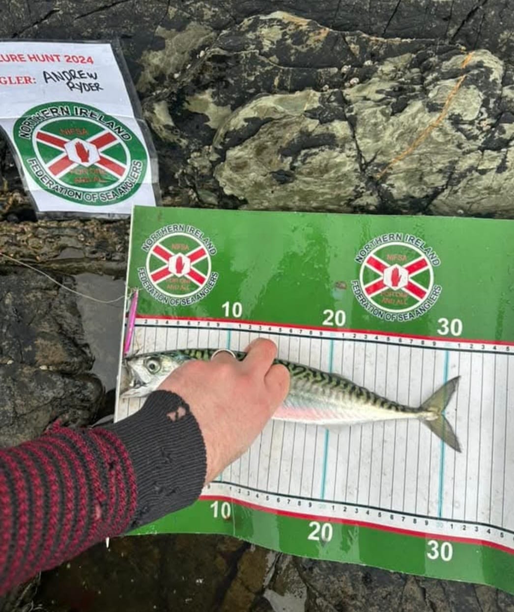 Midnight on 30th November saw the conclusion of our lure only species hunt