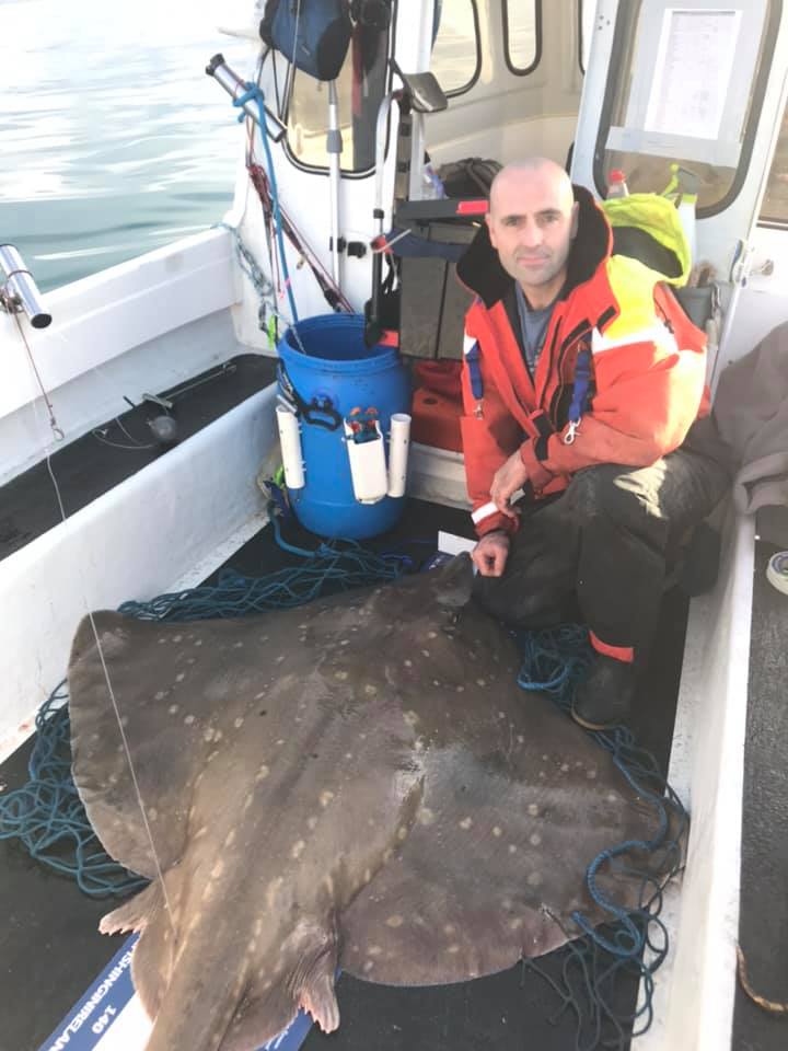 NIFSA member Ian Leatham had plenty of skate today out of Belfast Lough. Nice one Ian