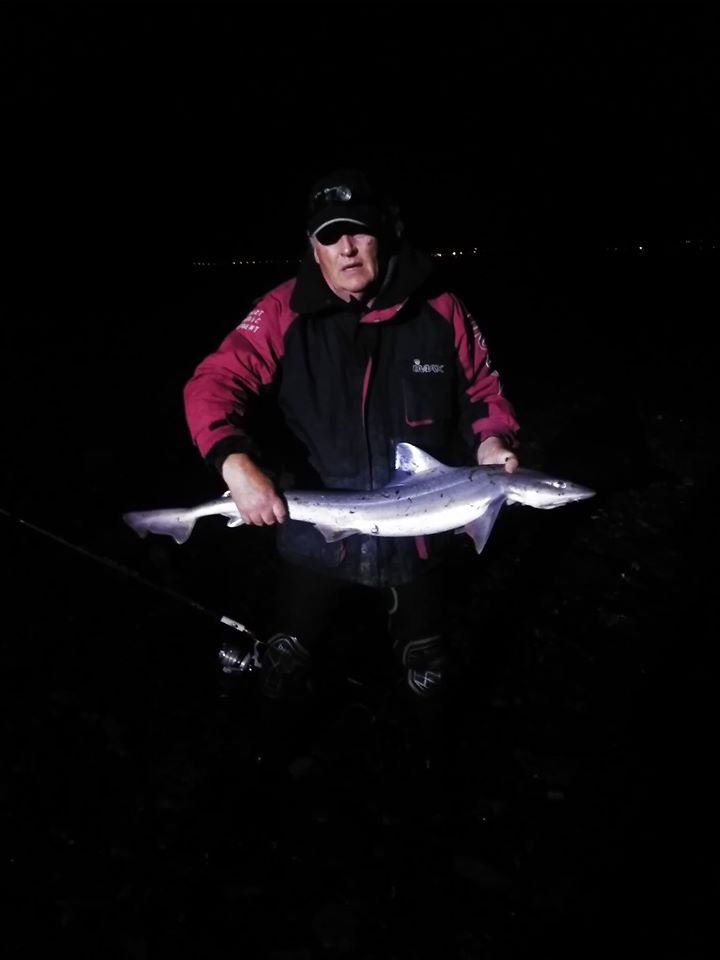 NIFSA member Tim Sexton had 9 Smooth Hounds to 1.2m on a Southern Beach on the outskirts of Youghal