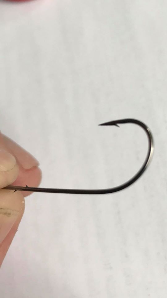 Our Federation is always proactively as fish friendly as possible