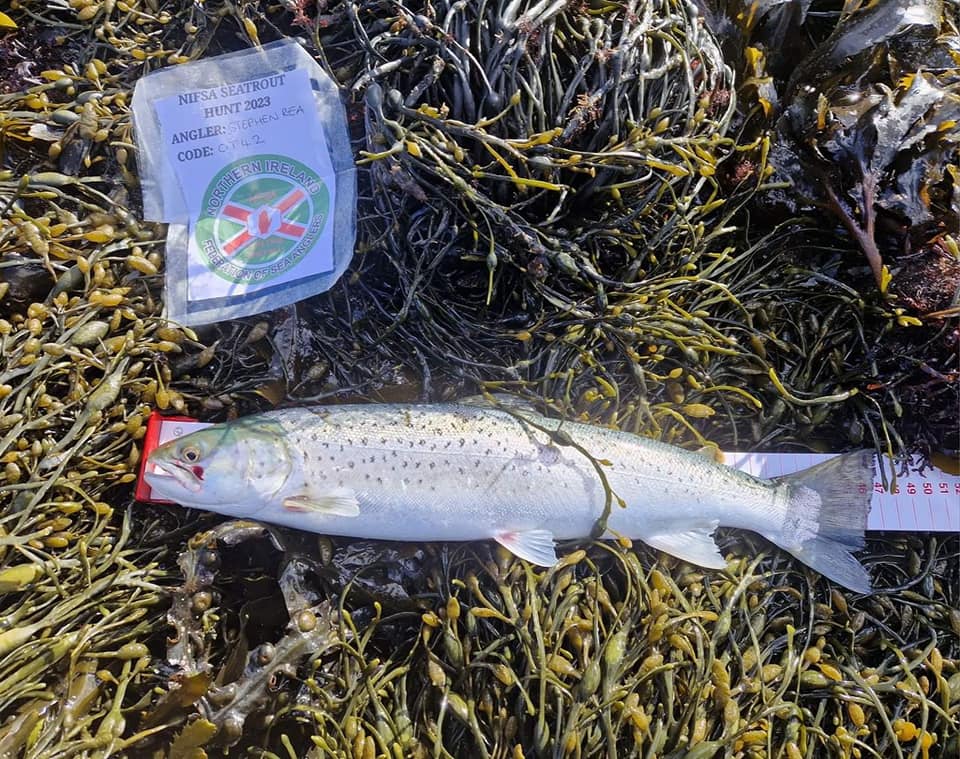 Our lure anglers are starting to rumble into life