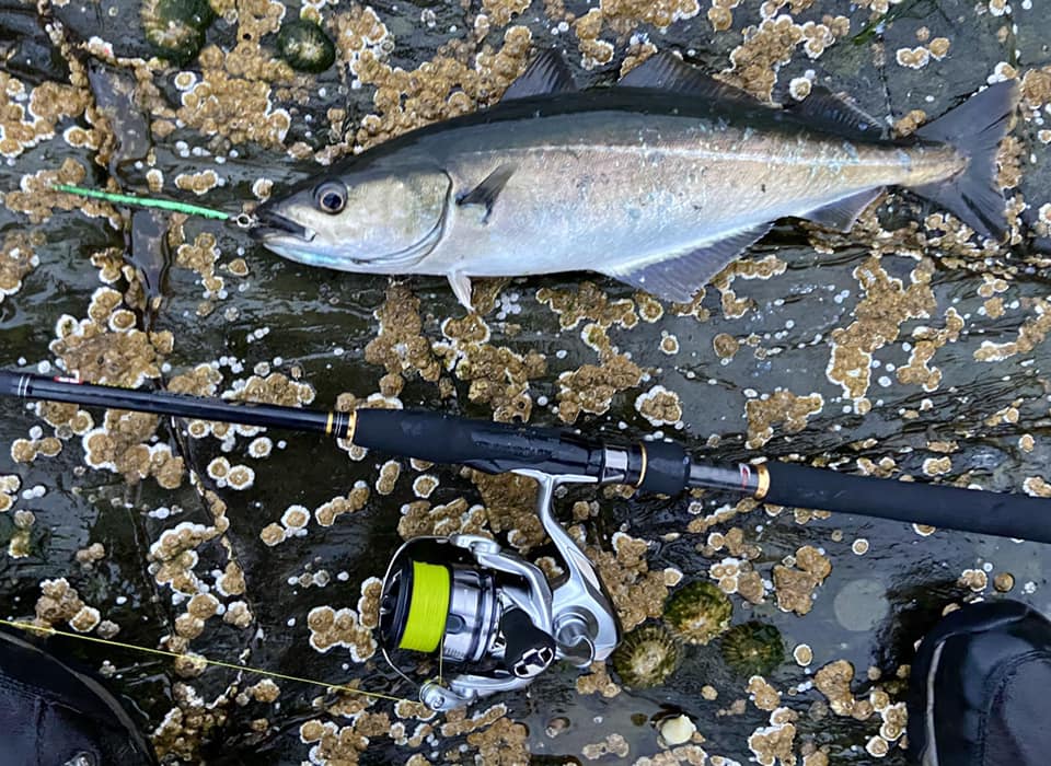 Serial LRF and HRF federation member Drew McMinn has been out and about again annoying the fish