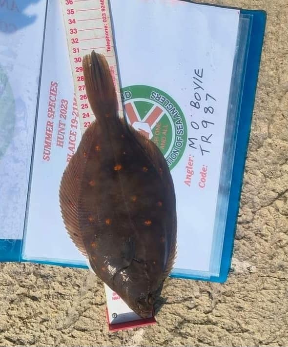 This weekend passed saw the start of our annual Summer Species Hunt League