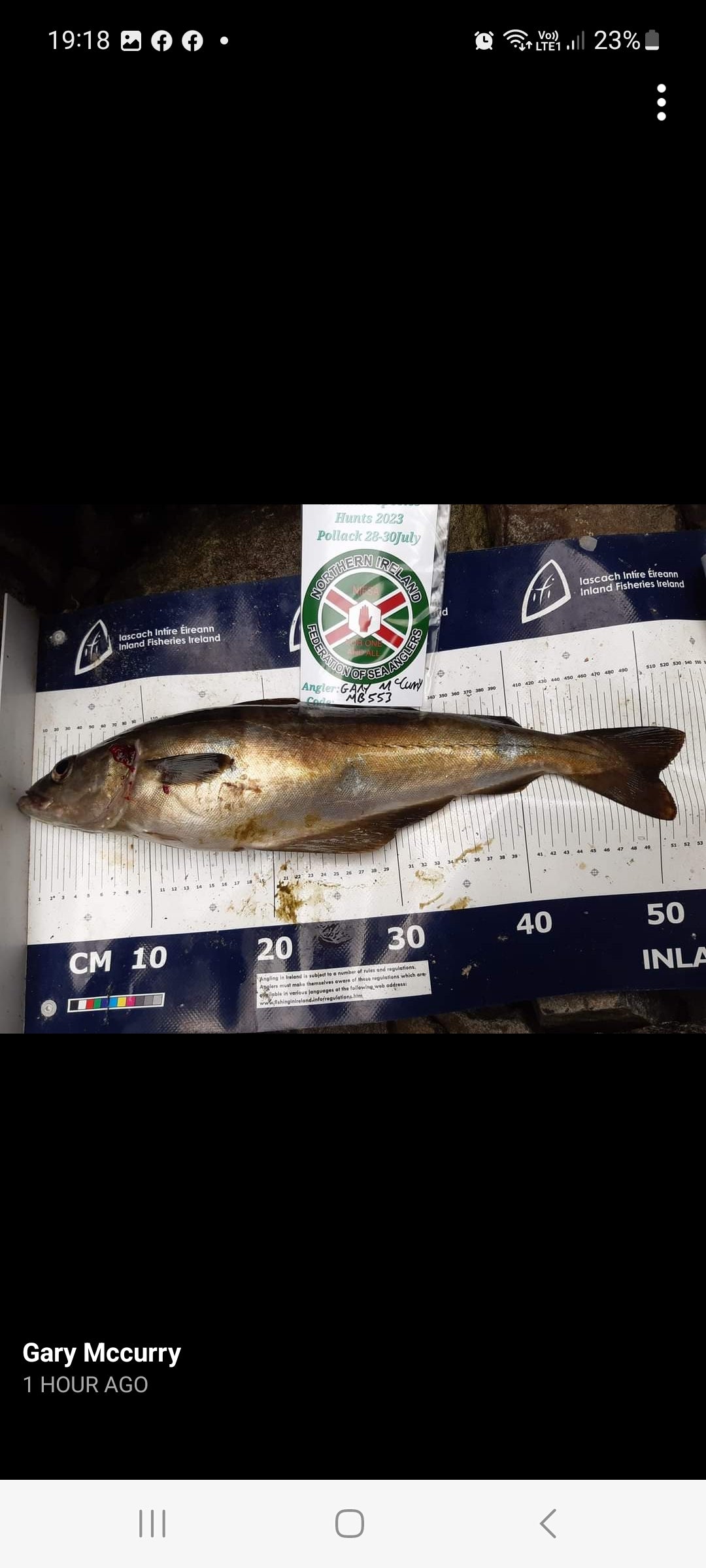 This weekend past (28-30 July) saw the Pollack leg of our Summer Species Hunt League