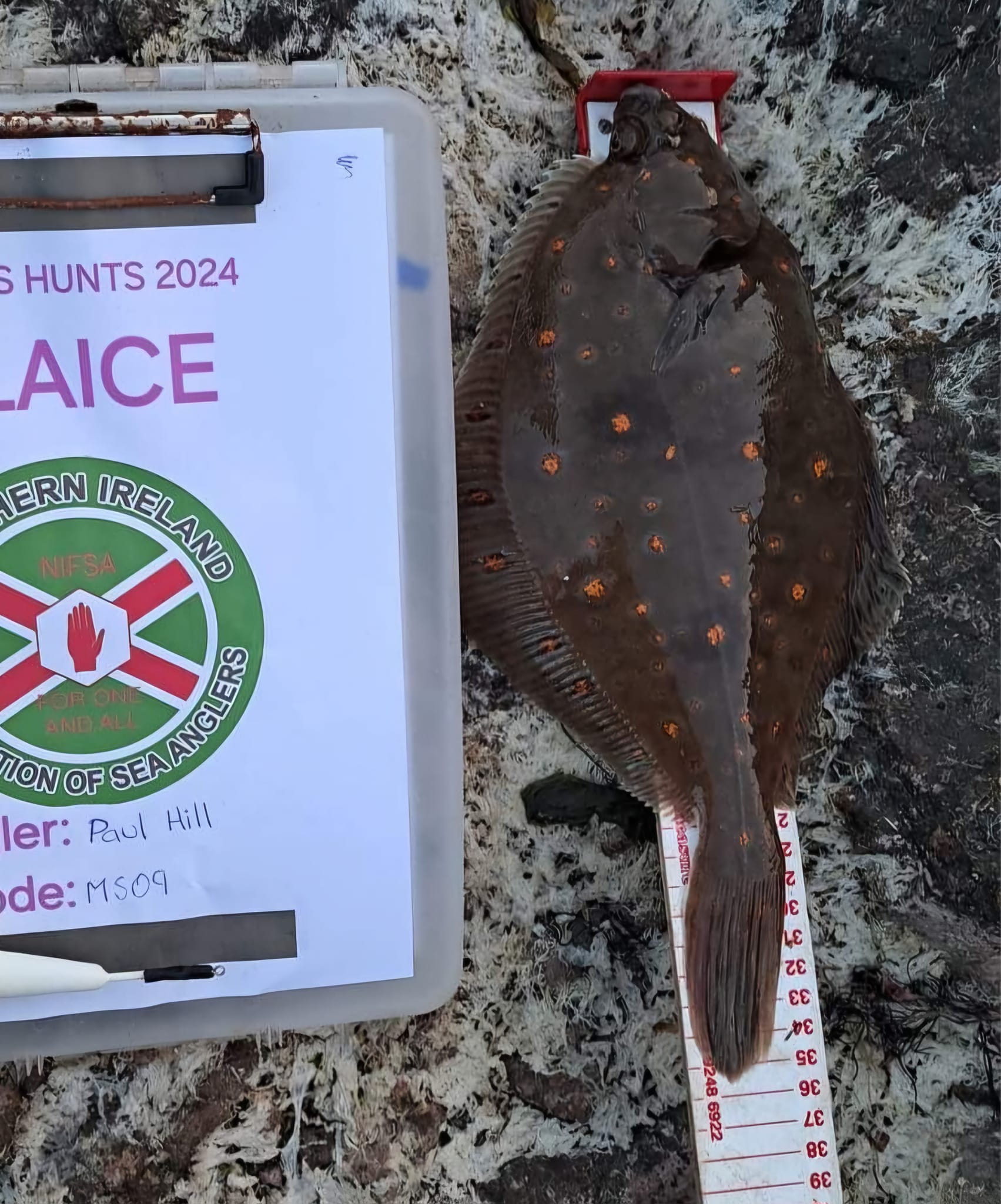 This weekend past 9-11May saw the beginning of the NIFSA Summer Species Hunt League