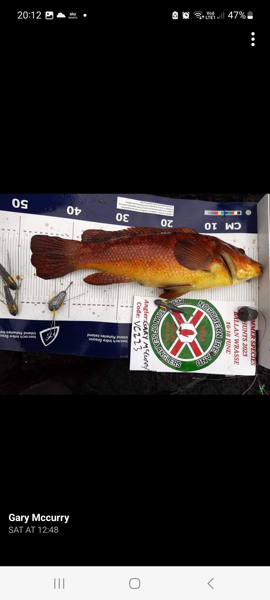 This weekend past saw the Ballan Wrasse leg of our Summer species hunt