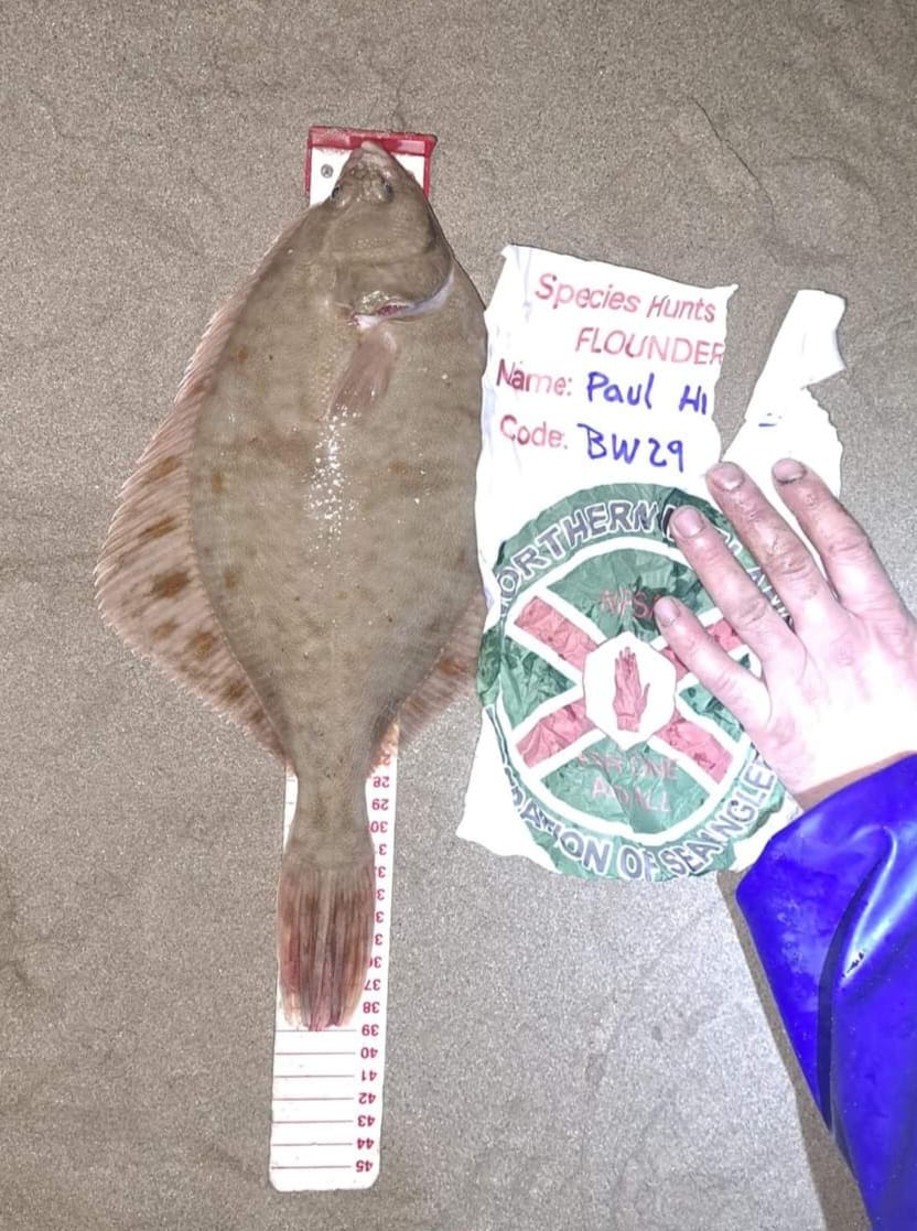 This weekend past saw the final leg of our yearly species hunt league, a competition format where anglers target a certain species of fish for a 48hr period