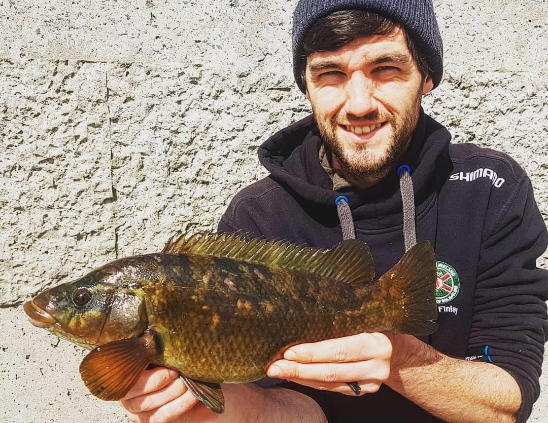 Young Dan Finlay building up a nice species list in the NIFSA all year species hunt