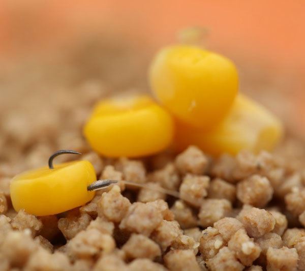 Guru Kaizen Ready Rigs