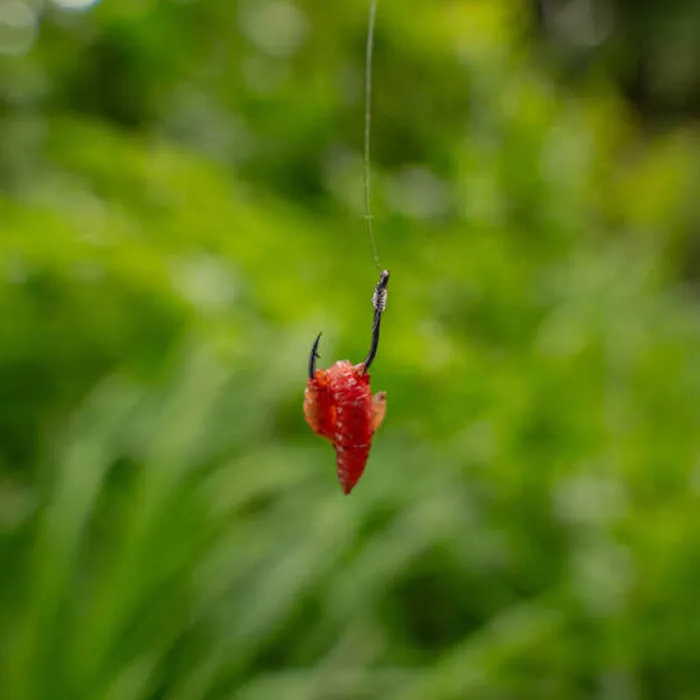 Korum Xpert Maggot Hooks