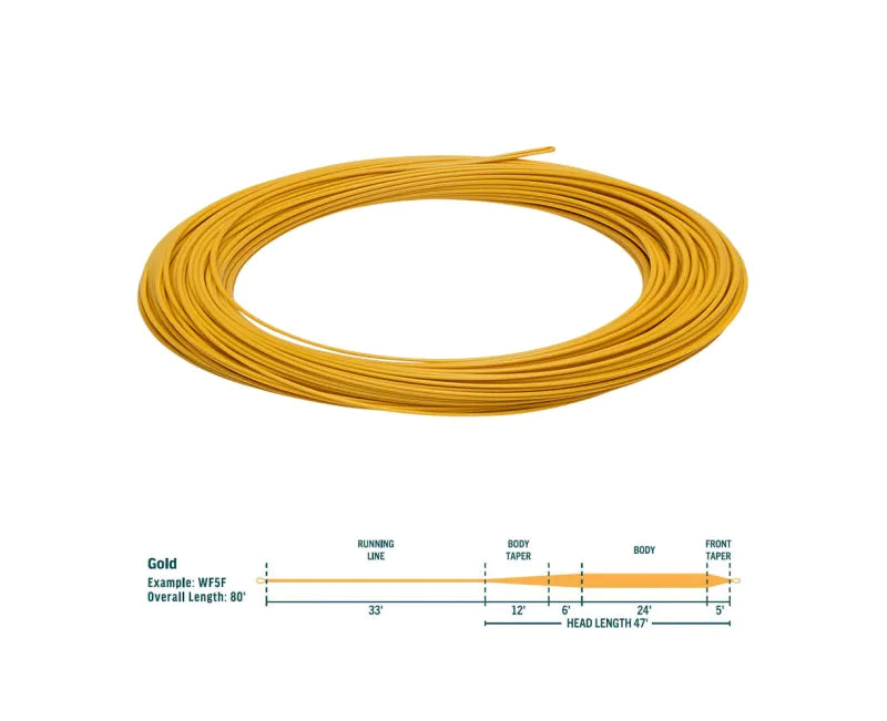 Rio Avid Gold Fly Line