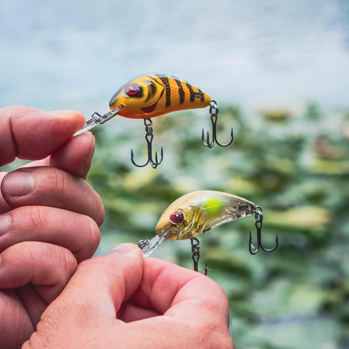 Salmo Rattlin' Hornet Lure