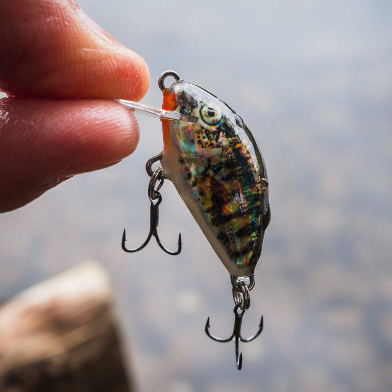 Salmo Tiny Lure