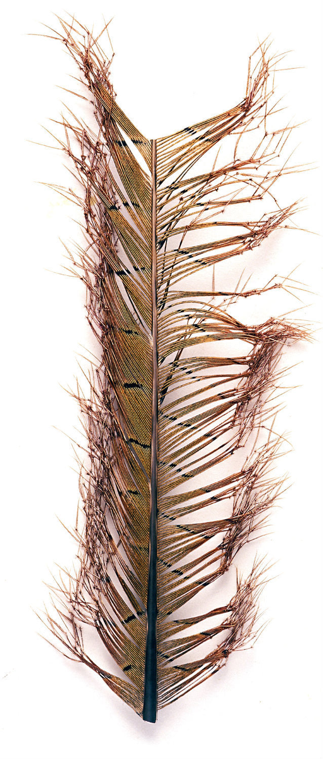 Veniard Knotted Pheasant Tail