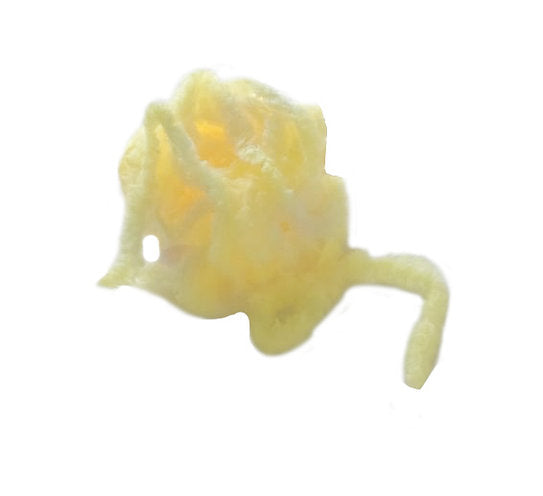 Celtic Blob Company Egg-It