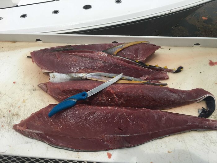 Cuda Titanium Bonded 7" Wide Fillet Knife