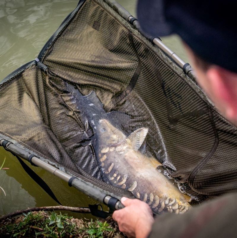 Daiwa Black Widow Folding Weigh Sling