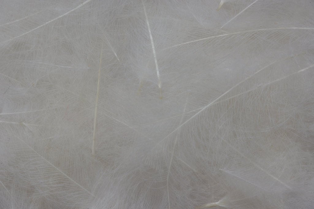 Fulling Mill CDC Feathers