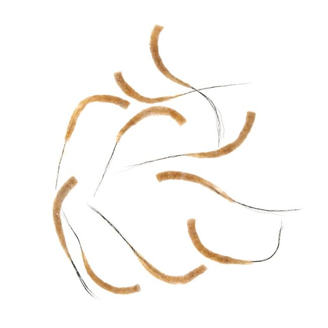 Hemingways Tube Body May Fly