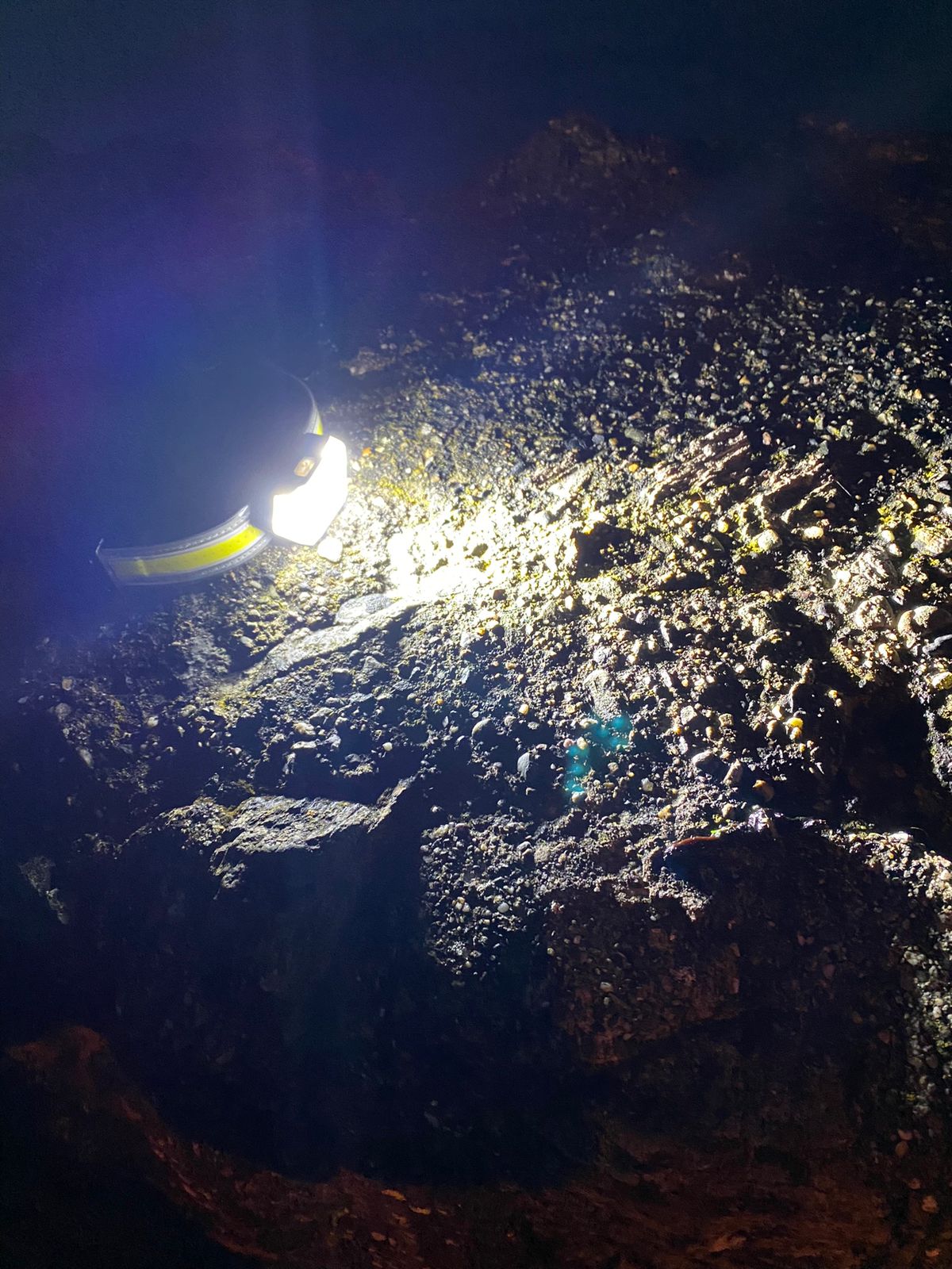 PAO LumenMAX Hunter Headlamp