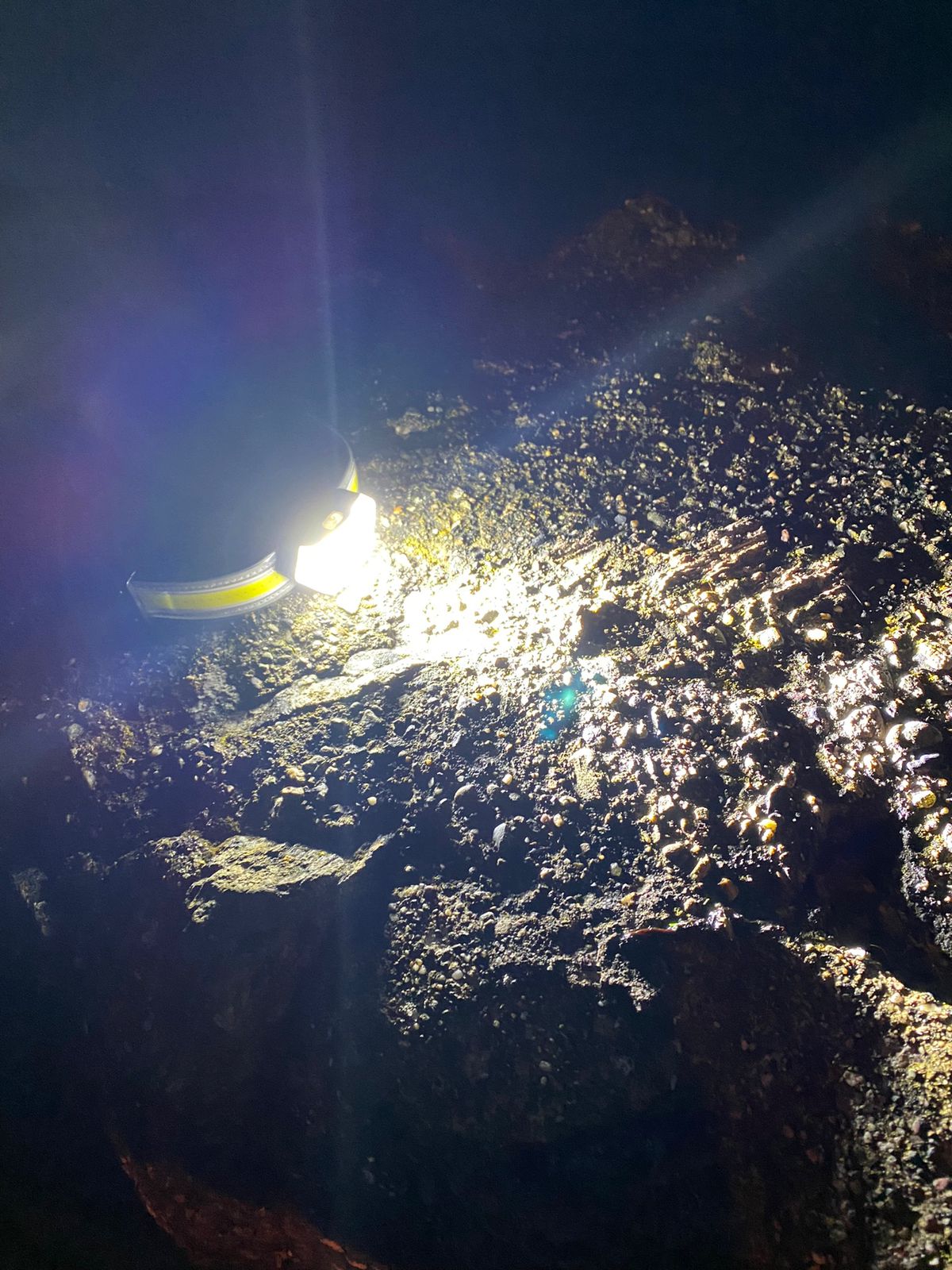 PAO LumenMAX Hunter Headlamp