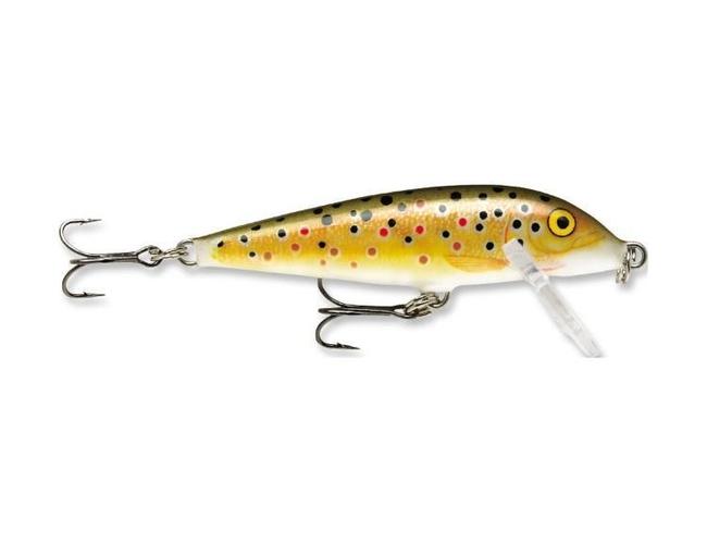 Rapala CountDown Sinking Lure