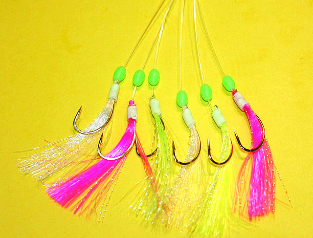 Shamrock Boat and Shore Traces