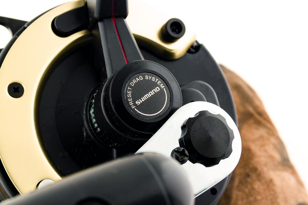 Shimano TLD 2 Speed Boat Reel
