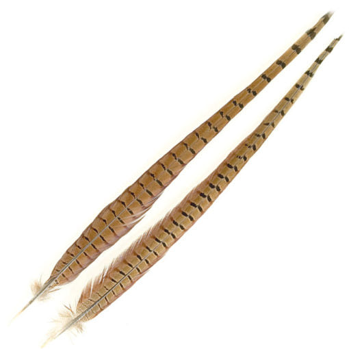 Turrall Tails