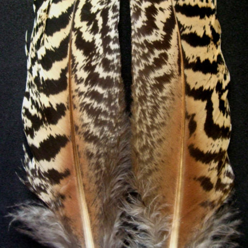 Turrall Wing Quills