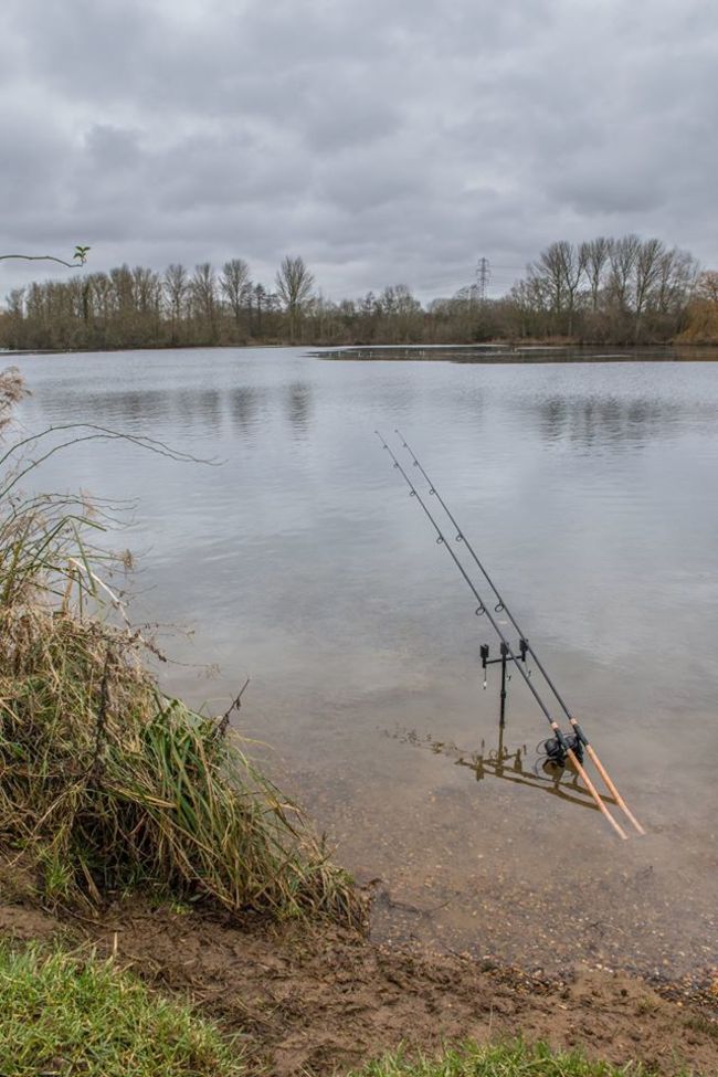 Wychwood Riot Cork Carp Rod