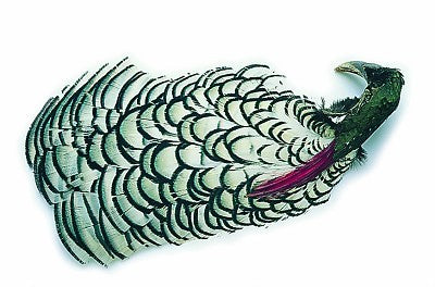 Veniard Amherst Pheasant Complete Head