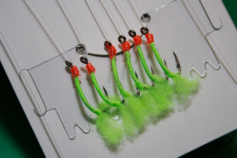 Shamrock Boat and Shore Traces