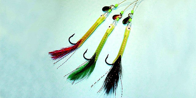 Shamrock Boat and Shore Traces