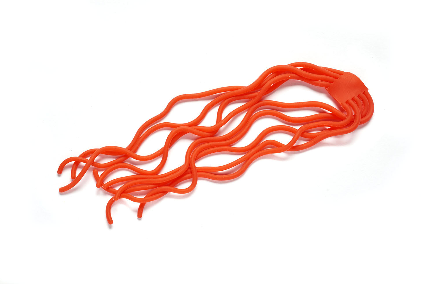 Veniard Worm Body