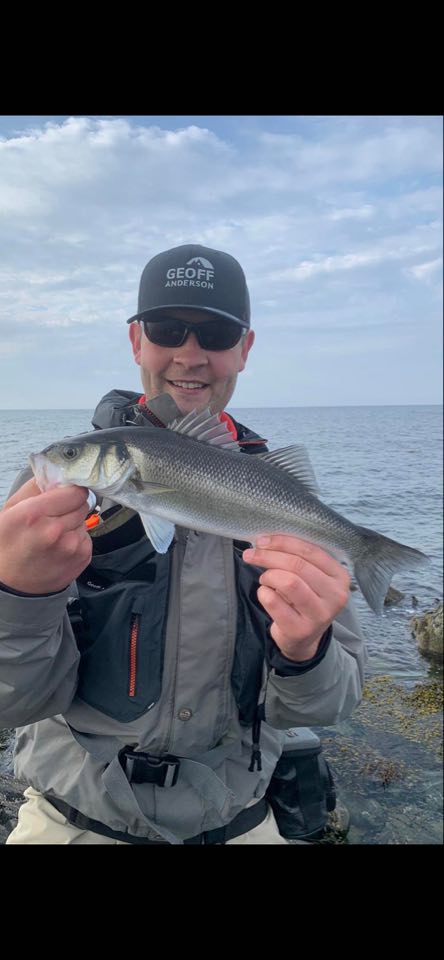 Federation member Jonny Dawson on the bass in South Down a couple of days ago