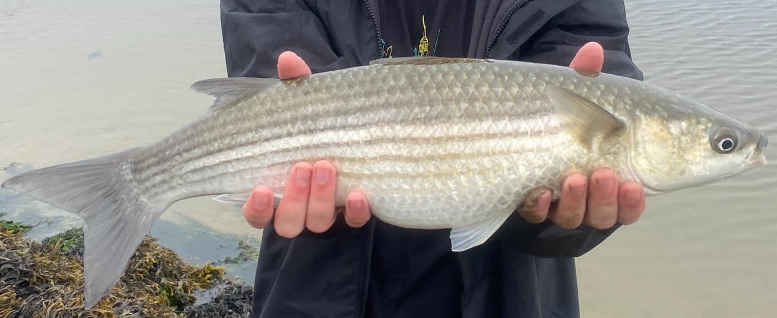 July Fish of the Month 2021