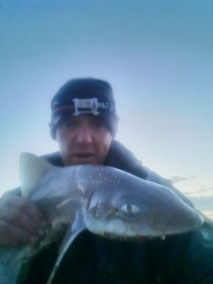 Our Federation recorder Barry Platt with a nice north coast smoothhound