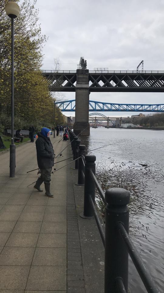 Under the famous Newcastle bridges